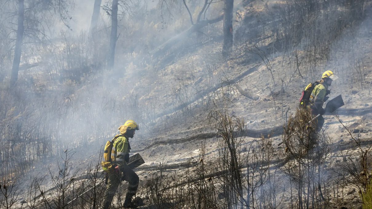 Los vecinos de Berrocal y Carrascal vuelven a sus hogares tras contenerse el incendio de Brieva