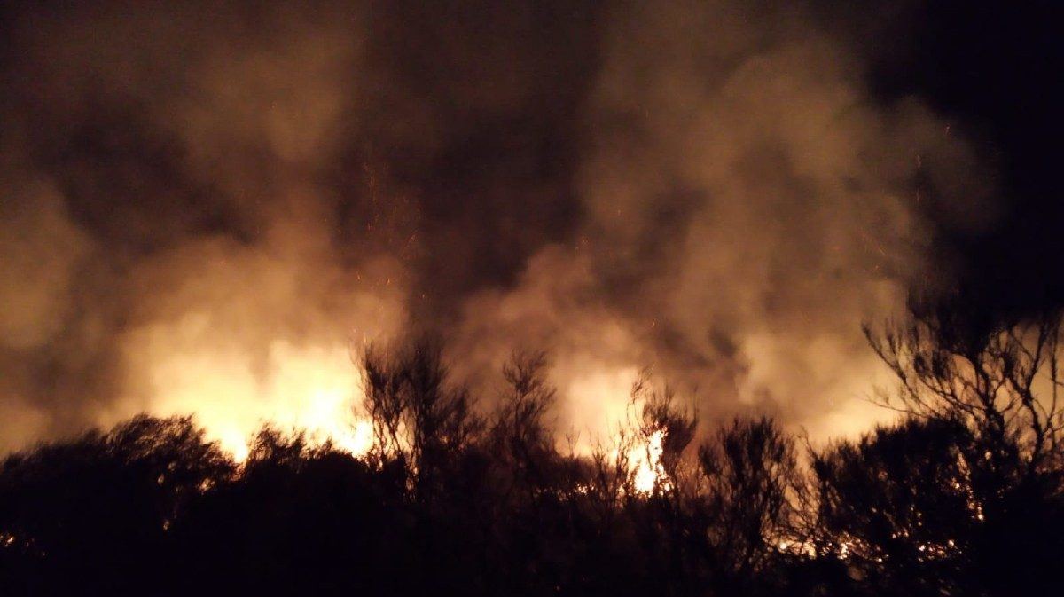 Los incendios de Ávila dejan una noche de alivio pero el fuego aún no da tregua