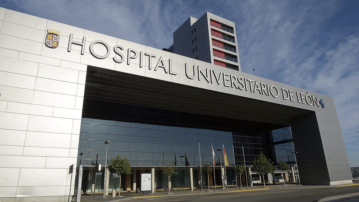 León se queda a las puertas de la Agencia Estatal de Salud Pública: tercera en la clasificación pero sin premio
