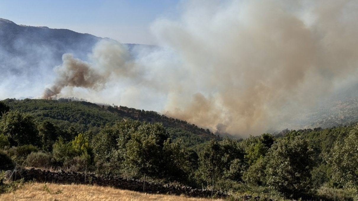 Los bomberos de La Rioja se suman a la batalla contra el devastador incendio que arrasa Ávila
