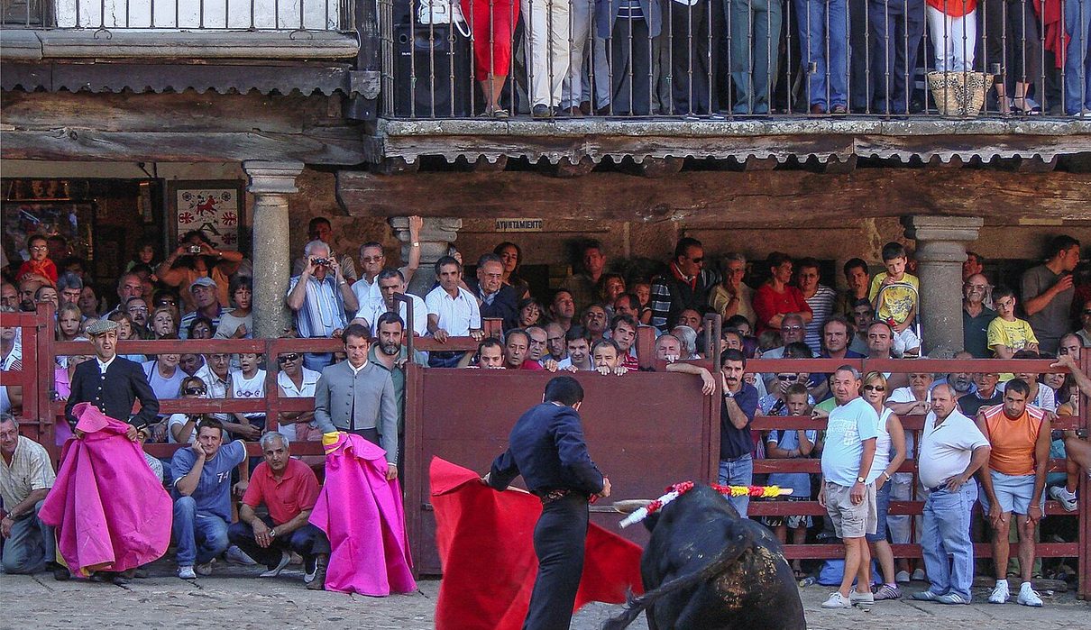 Salamanca se viste de fiesta: pañuelos, toros, música y más de cien actos para las Ferias 2026