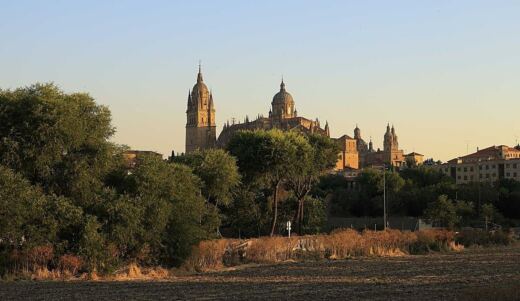 El calor extremo vuelve a poner en jaque a Salamanca con ocho horas de máximo riesgo de incendio
