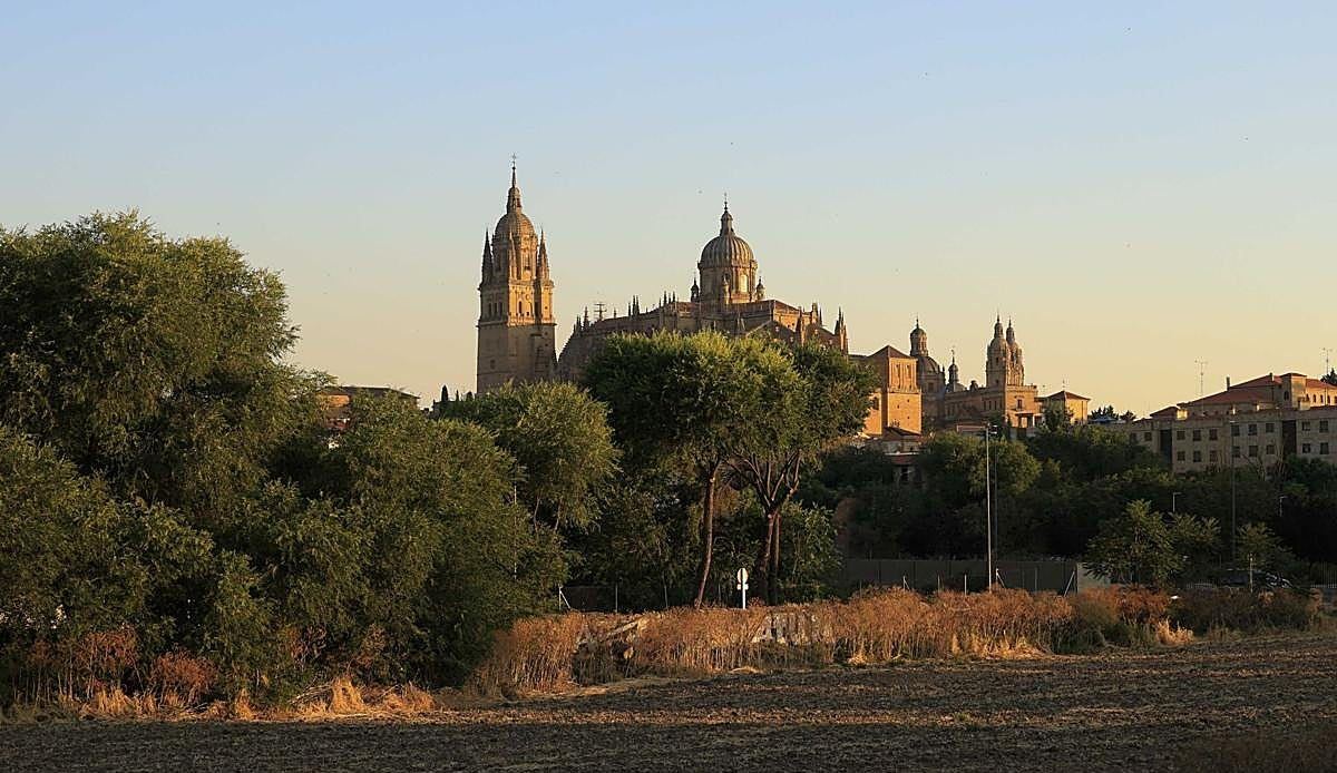 El calor extremo vuelve a poner en jaque a Salamanca con ocho horas de máximo riesgo de incendio
