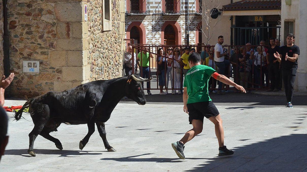Sobradillo enciende sus fiestas patronales con el pregón de un militar con raíces en el pueblo y una noche de vaquillas y ver