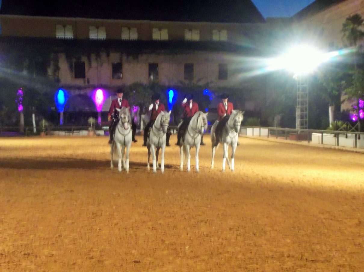 Exhibicion ecuestre con caballos