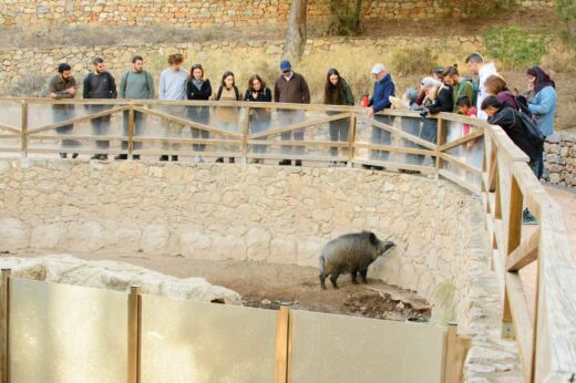 El centro de fauna silvestre de Zamarramala rescató a casi 900 animales el año pasado y devolvió 255 a la naturaleza