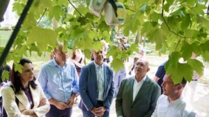 Valladolid convierte Campo Grande en un laboratorio vivo con sensores, cámaras e inteligencia artificial para cuidar su biodi
