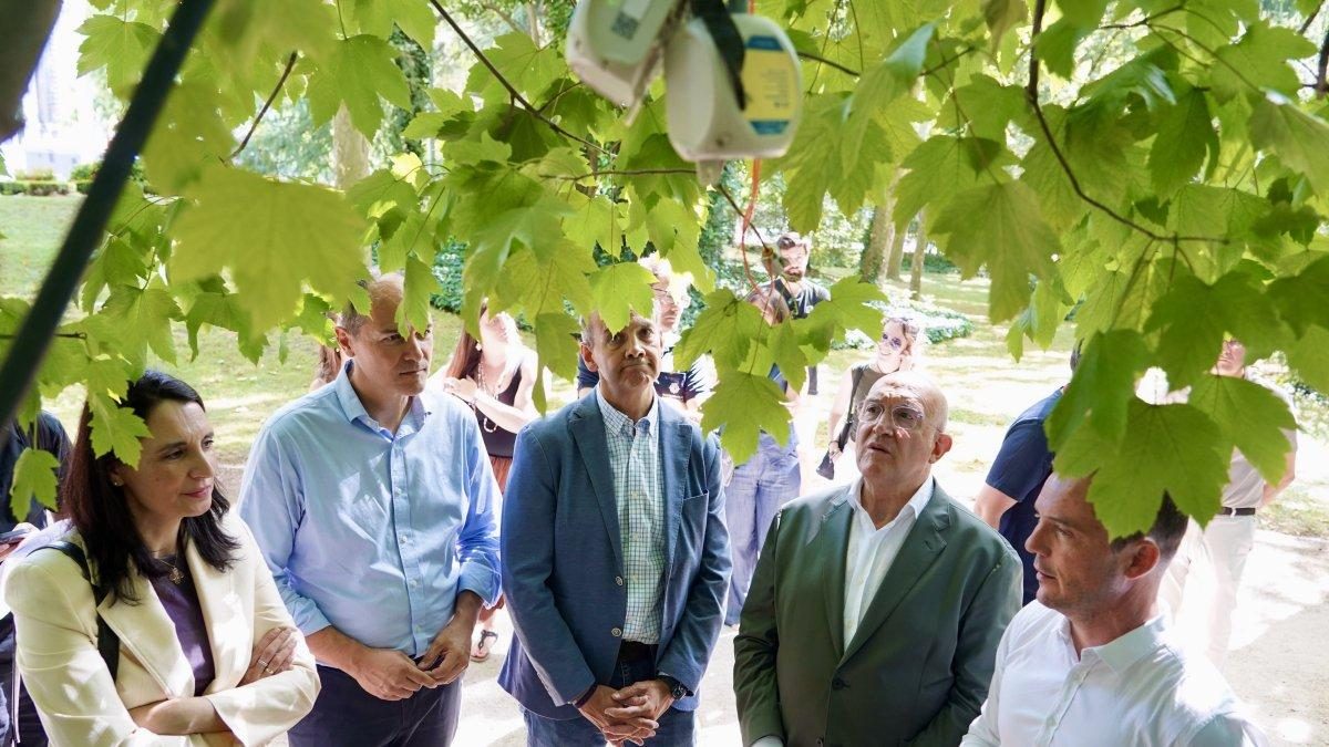 Valladolid convierte Campo Grande en un laboratorio vivo con sensores, cámaras e inteligencia artificial para cuidar su biodi