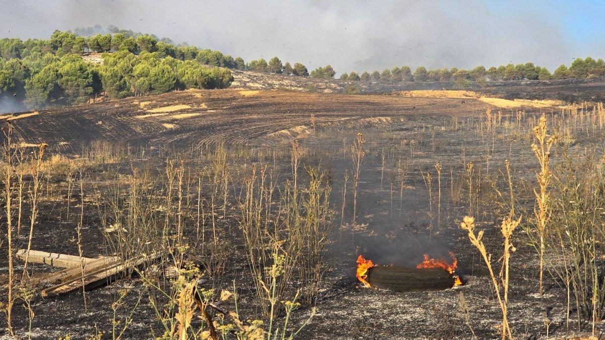 El fuego devora el pinar de Santovenia en una noche de horror: militares, bomberos y vecinos logran frenarlo