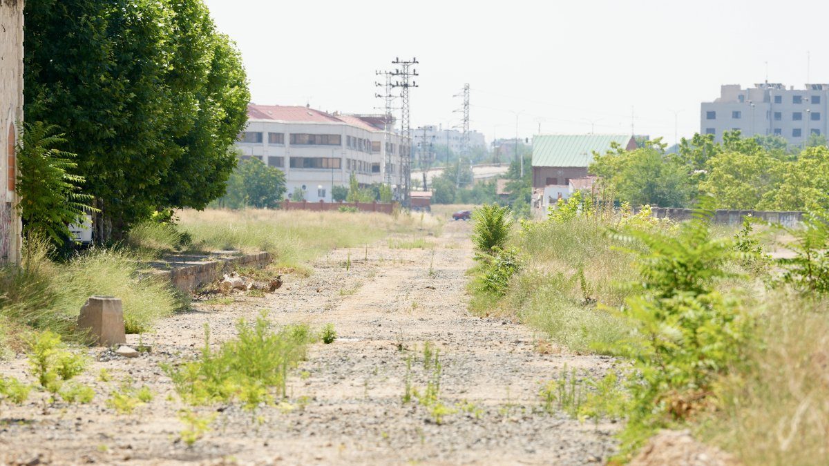 El antiguo trazado ferroviario de Ariza renace como futuro carril verde entre Valladolid y Laguna de Duero
