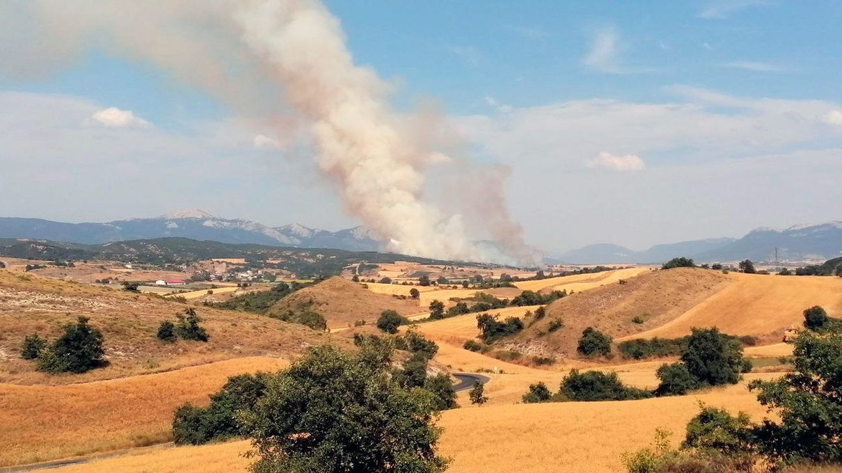 Un incendio en una finca de cereal de Barrundia moviliza medios aéreos y brigadas forestales de fuera de Álava