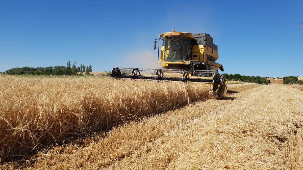 Zamora al rojo vivo: la Junta prohíbe las cosechadoras en horas punta y declara el riesgo extremo en toda la provincia