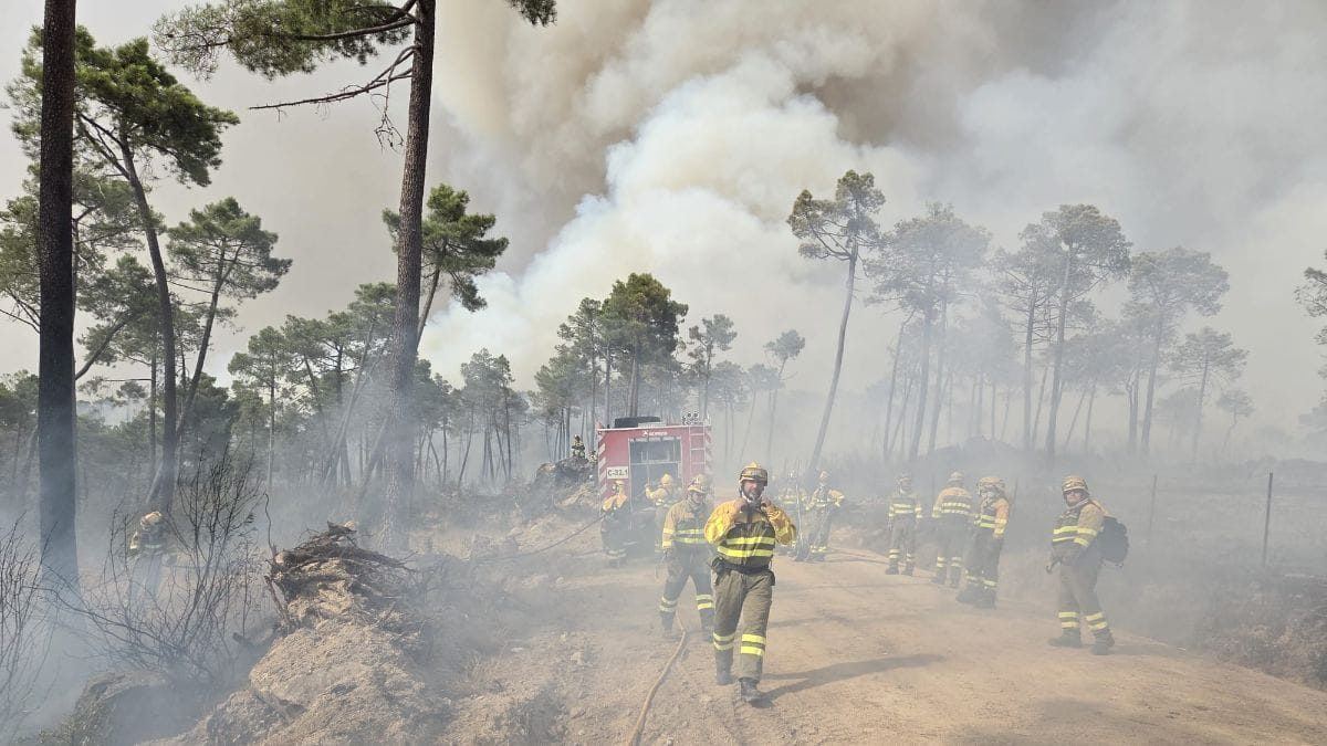 Pollán zanja la polémica sobre quién manda en los incendios: "El pacto no deja lugar a dudas"