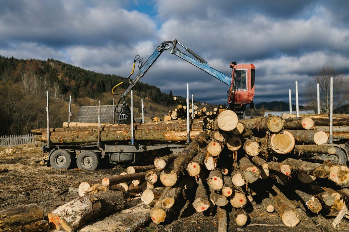 La Junta actúa contra el reloj para retirar la madera calcinada de los montes abulenses