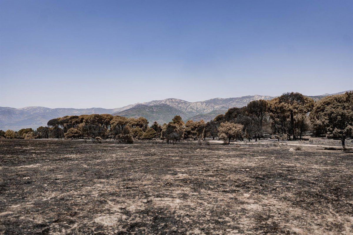 El incendio de Burgohondo pone el foco en la posible mano humana tras las reproducciones en Piedralaves
