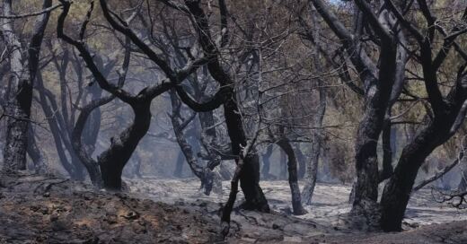 El incendio de Burgohondo deja de ser emergencia nacional tras arrasar más de 75.000 hectáreas entre Ávila y Madrid
