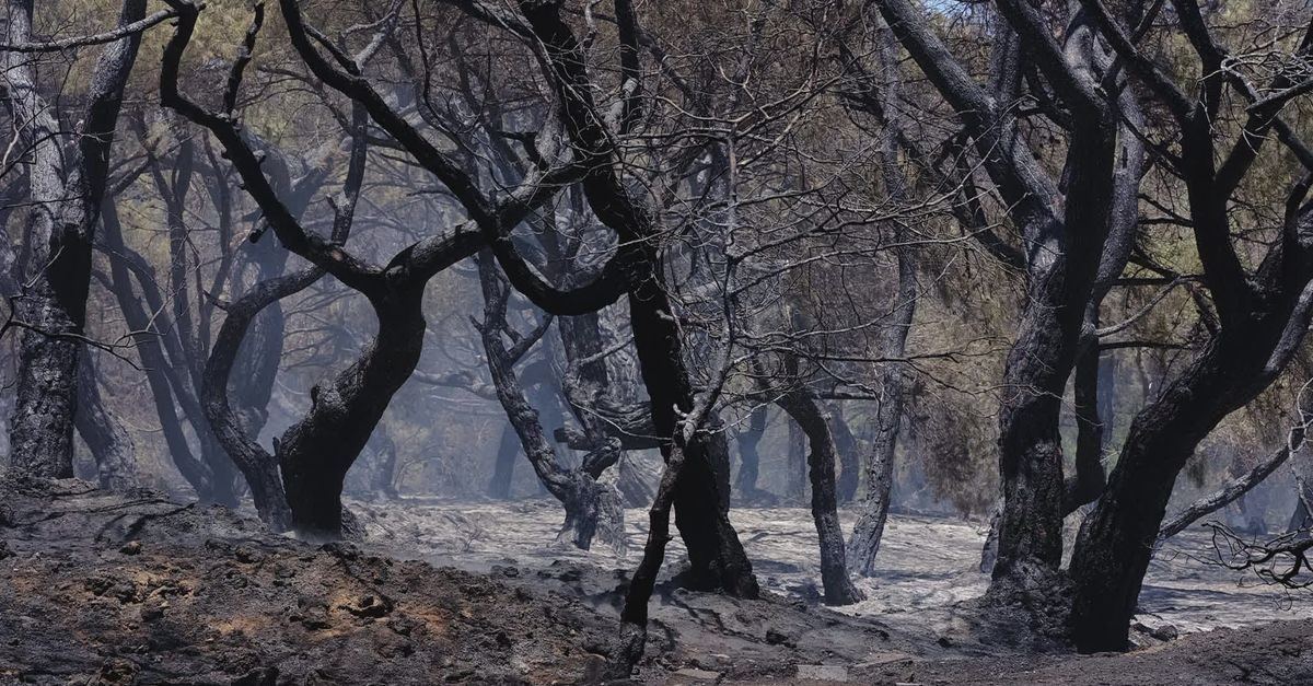 El incendio de Burgohondo deja de ser emergencia nacional tras arrasar más de 75.000 hectáreas entre Ávila y Madrid