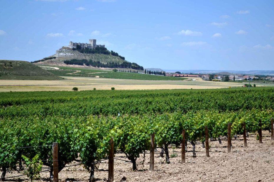 Veinte años uniendo bodegas, pueblos y viajeros a lo largo del Duero