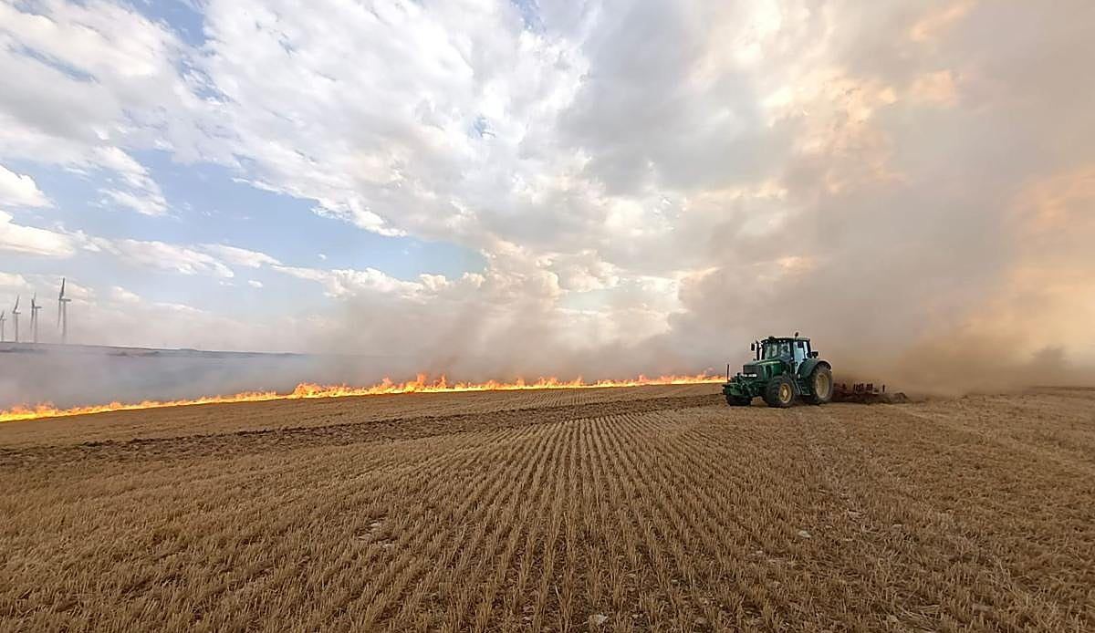 Un incendio arrasa 26 hectáreas de cultivo entre Villorejo y San Pedro Samuel en menos de tres horas