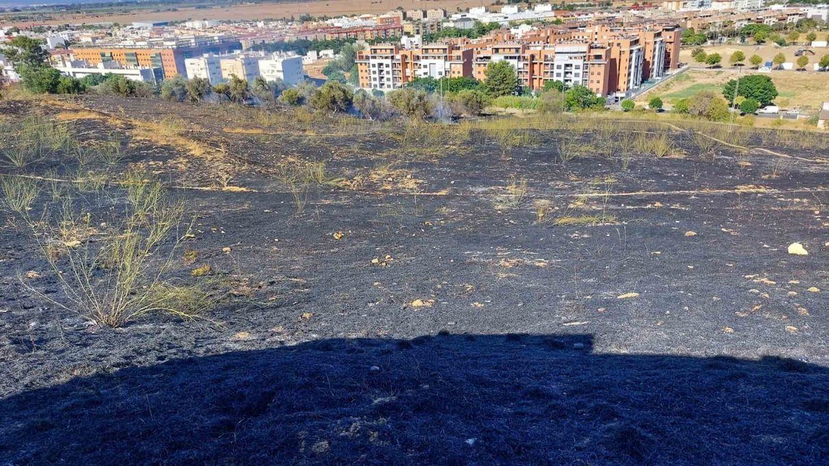 Un solar sin limpiar en dos años pone en riesgo de incendio a los vecinos de la calle Francisco Salinas de Burgos