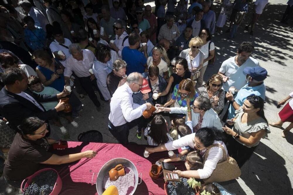 Lerma llena la Plaza del Mercado Viejo de uvas, vino y tradición en su gran fiesta de la vendimia
