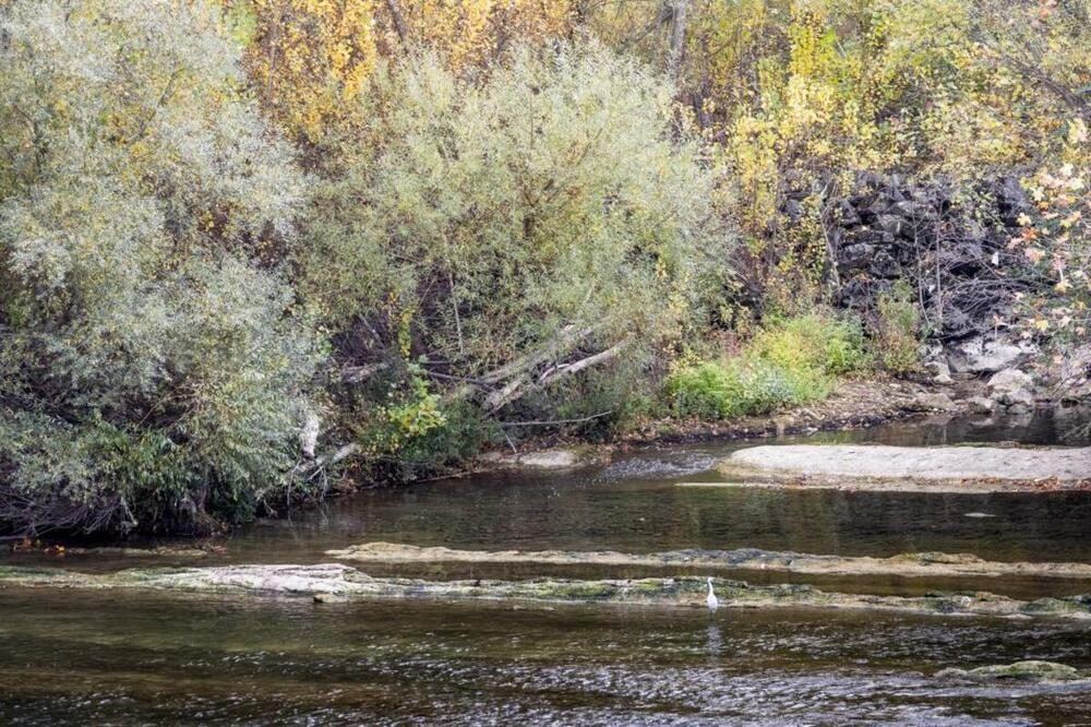 El Ebro a su paso por Miranda lleva ocho años sin un análisis de sus aguas mientras sus riberas se deterioran