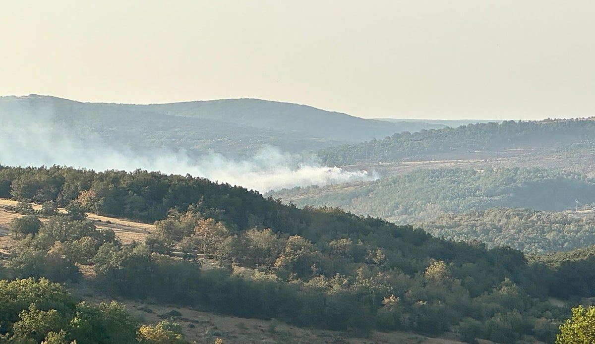 Burgos sale a la calle el viernes para exigir que los montes de Castilla y León dejen de arder