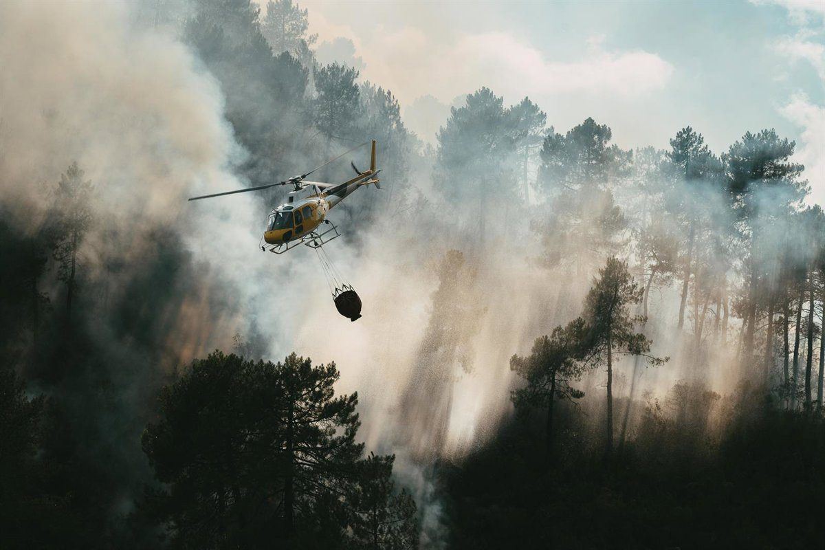 Veinte incendios forestales y más de 4.200 hectáreas calcinadas dejan una semana de emergencia en Extremadura