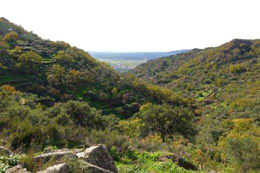 Tragedia en la sierra de Montánchez: muere un parapentista al precipitarse al vacío durante el despegue