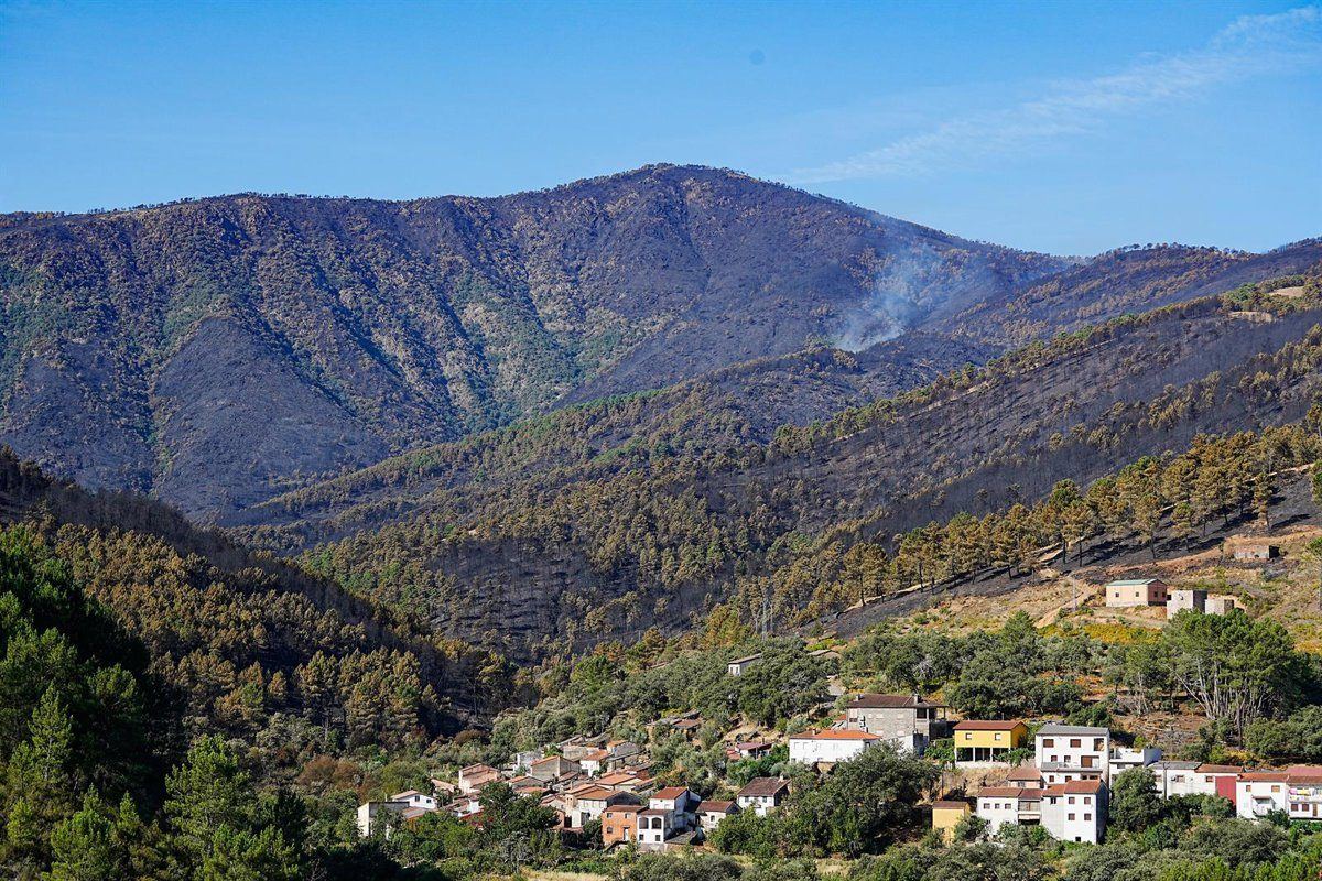El incendio de Pinofranqueado quemó menos de lo temido: las hectáreas afectadas bajan a 3.765