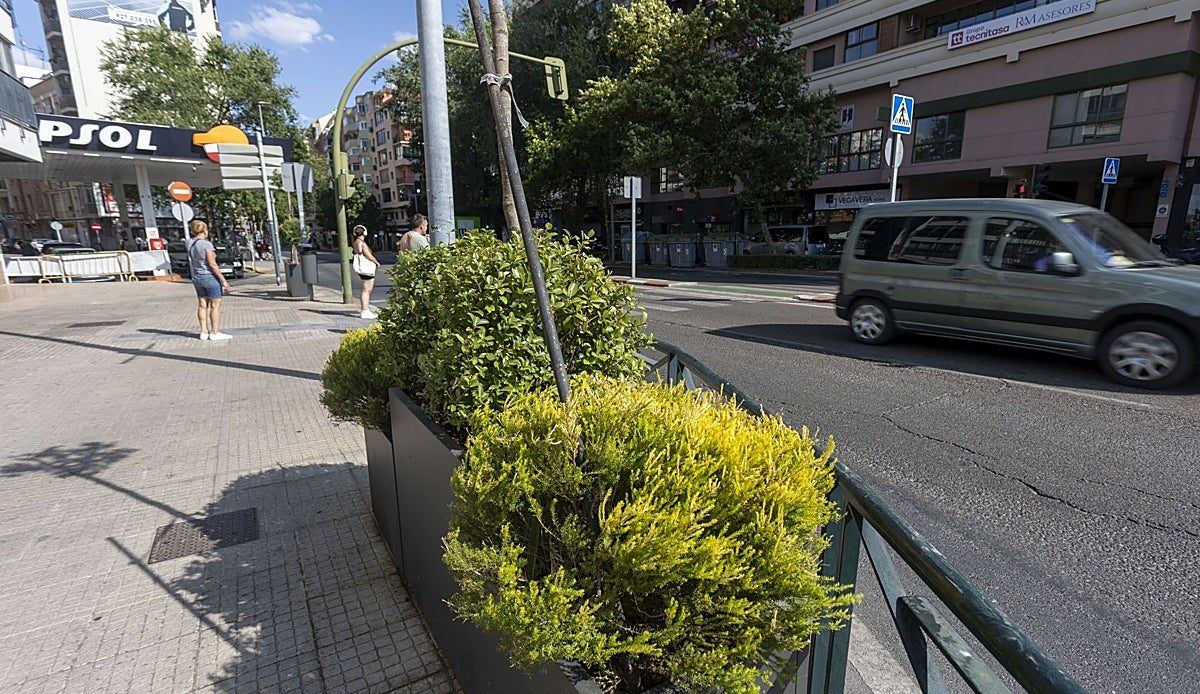 Cáceres se llena de verde: el Ayuntamiento lanza una nueva campaña de árboles y maceteros ornamentales en los barrios