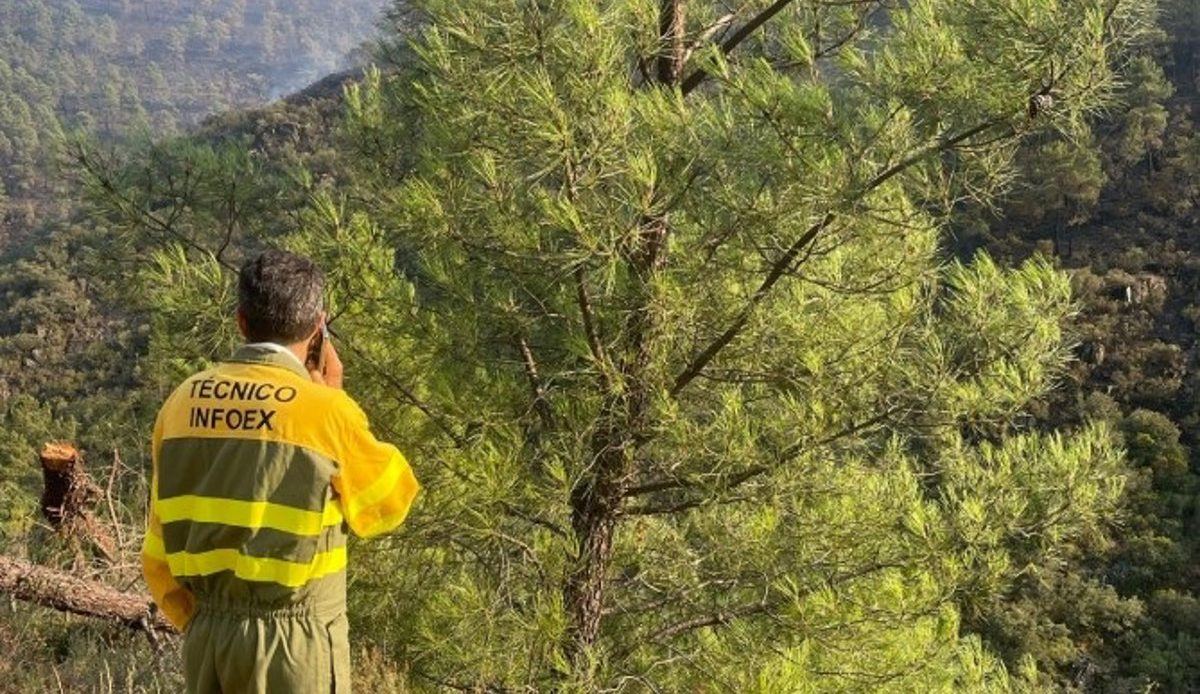 Las Hurdes empieza a respirar: 54 efectivos mantienen la guardia sobre el incendio de Pinofranqueado