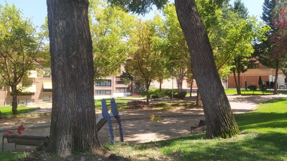 El Ayuntamiento de Guadalajara planea talar 72 árboles sanos para una obra millonaria en el centro de la ciudad