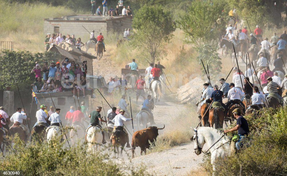 Brihuega cierra sus fiestas patronales con dos cogidas graves, toros fugados y lluvia, pero con el ánimo intacto