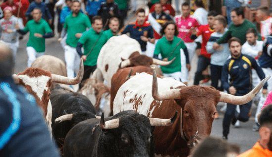 Guadalajara estrena pregón infantil y quinto encierro en unas fiestas de la Virgen de la Antigua con más de 300 actividades