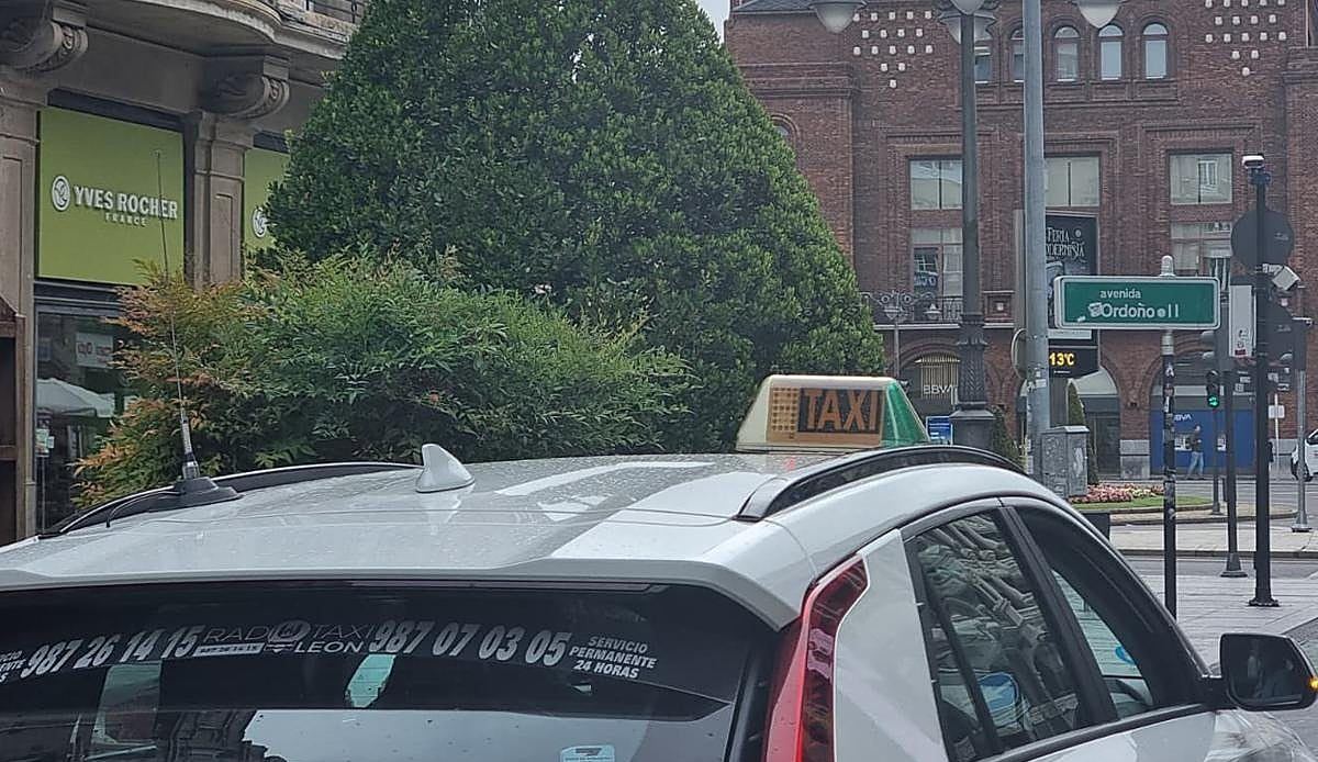 Las paradas de taxi en León se quedan vacías: el sector vive uno de sus mejores veranos en años