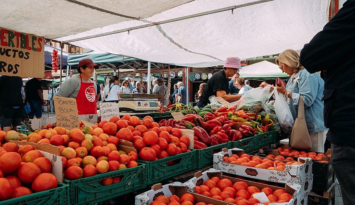 El tomate de la huerta del Esla vuelve a ser el rey de Mansilla en una nueva edición de su feria más querida