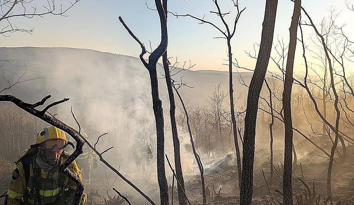 La provincia de León lucha contra tres incendios simultáneos mientras las tormentas siguen encendiendo el monte