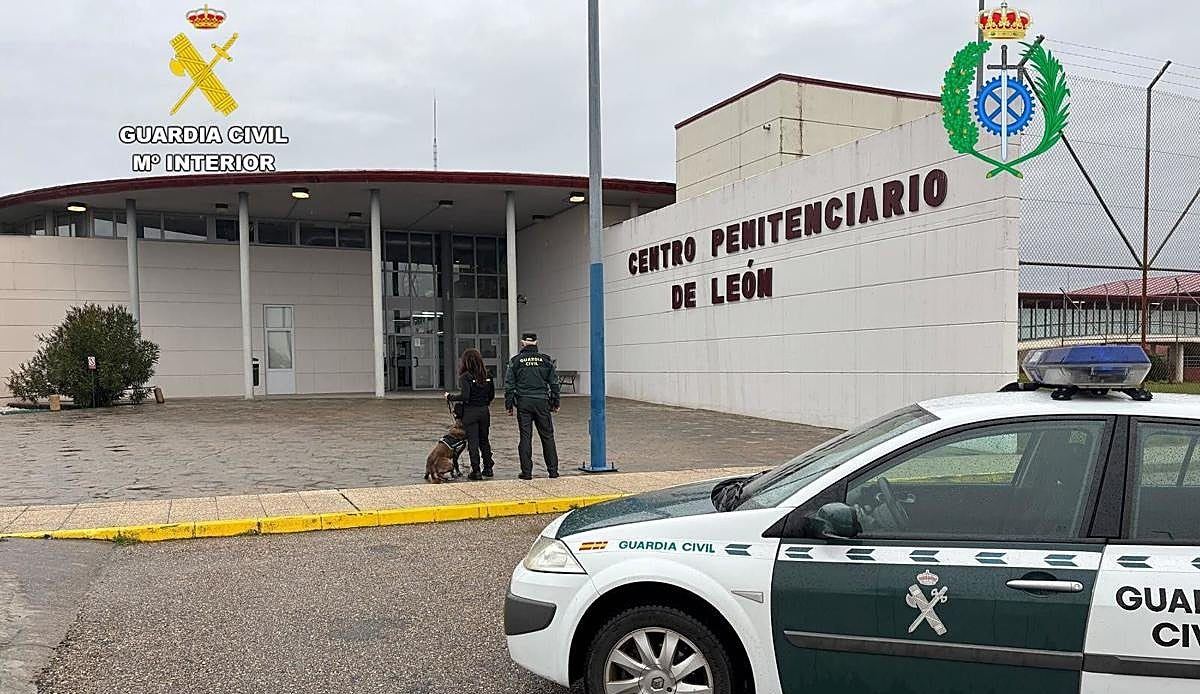 Un perro antidroga frustra el intento de una joven de colar hachís y pastillas en la cárcel de Mansilla de las Mulas