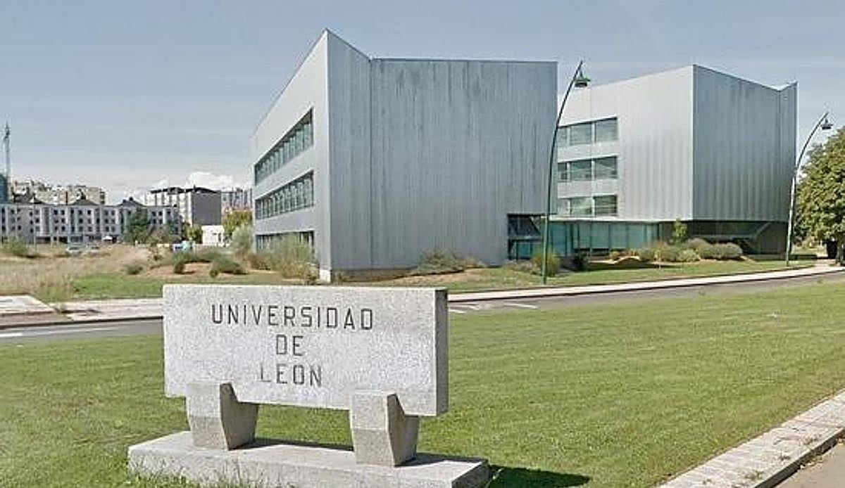 Alumnos de la Universidad de León llegan a la final de un premio europeo con una idea que puede cambiar cómo se detecta el en