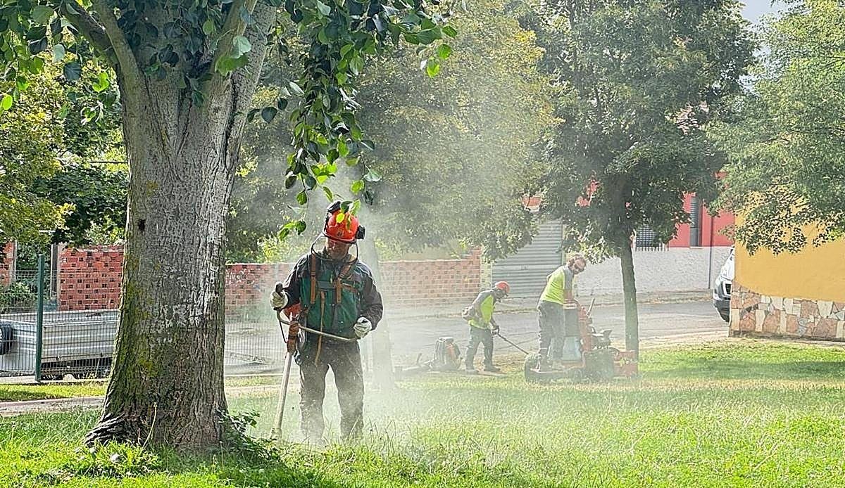 San Andrés del Rabanedo invierte más de 50.000 euros para mantener limpios y cuidados sus parques y jardines este verano