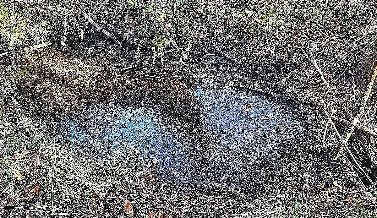 El agua subterránea de León resiste los incendios de 2025 sin señales de deterioro generalizado
