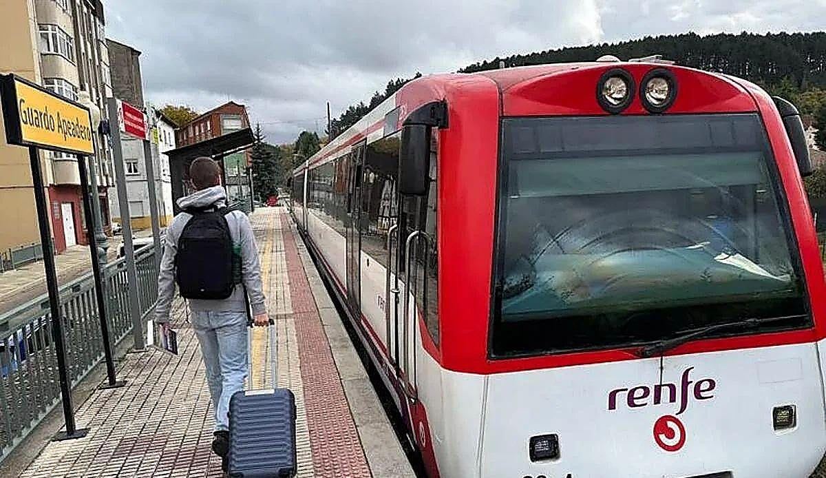 Un animal en la vía deja sin tren a los viajeros de León durante diez horas