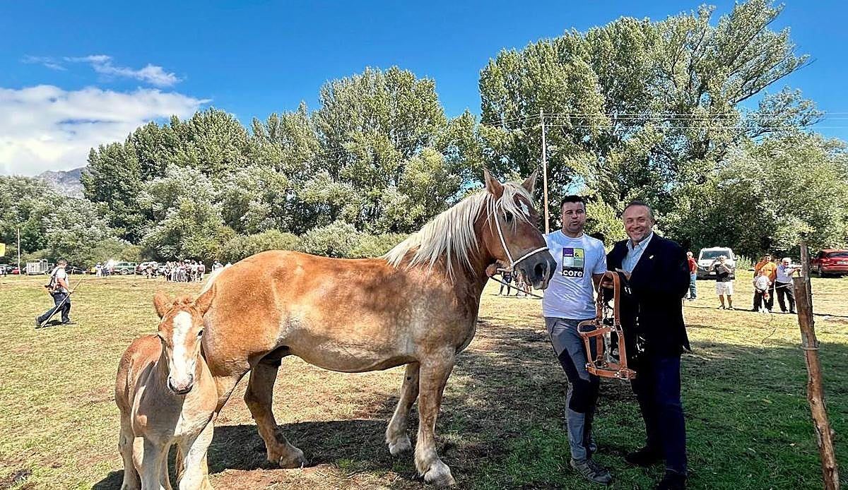 Babia celebra su gran cita ganadera con el Concurso Hispano-Bretón en su XXXVI edición