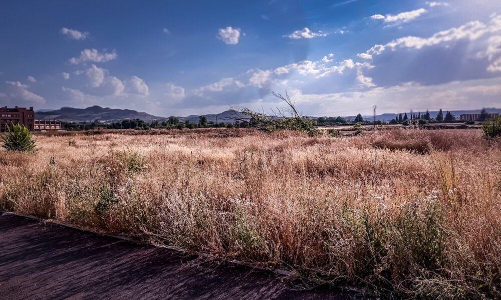 Logroño llega al final del verano sin haber limpiado sus solares mientras los incendios ya han calcinado 120 hectáreas