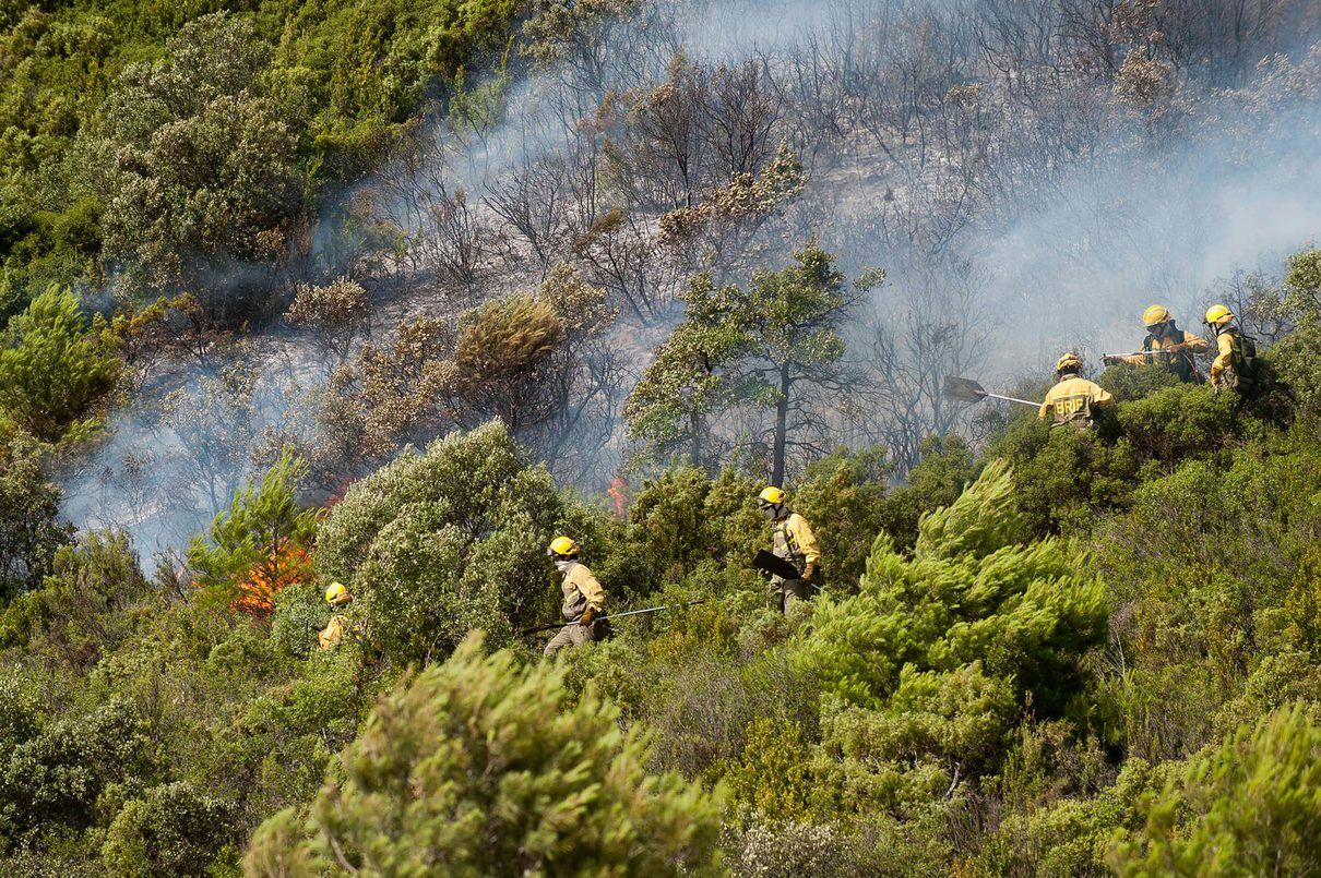 Un incendio calcina una hectárea de vegetación en una zona residencial de Arnedo