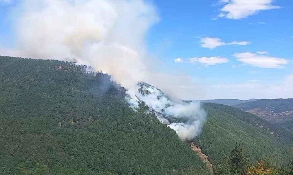 Fuego activo en Villoslada de Cameros: helicópteros y bulldócer luchan contra las llamas en La Irruz