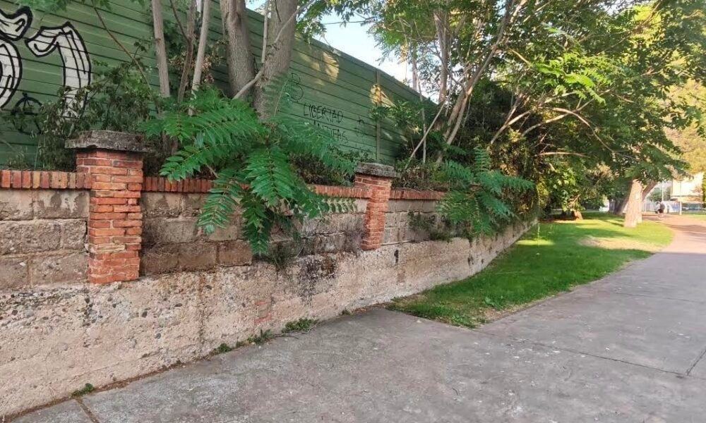 Las raíces de los árboles amenazan con derrumbar un muro en el parque de la calle Piqueras de Logroño