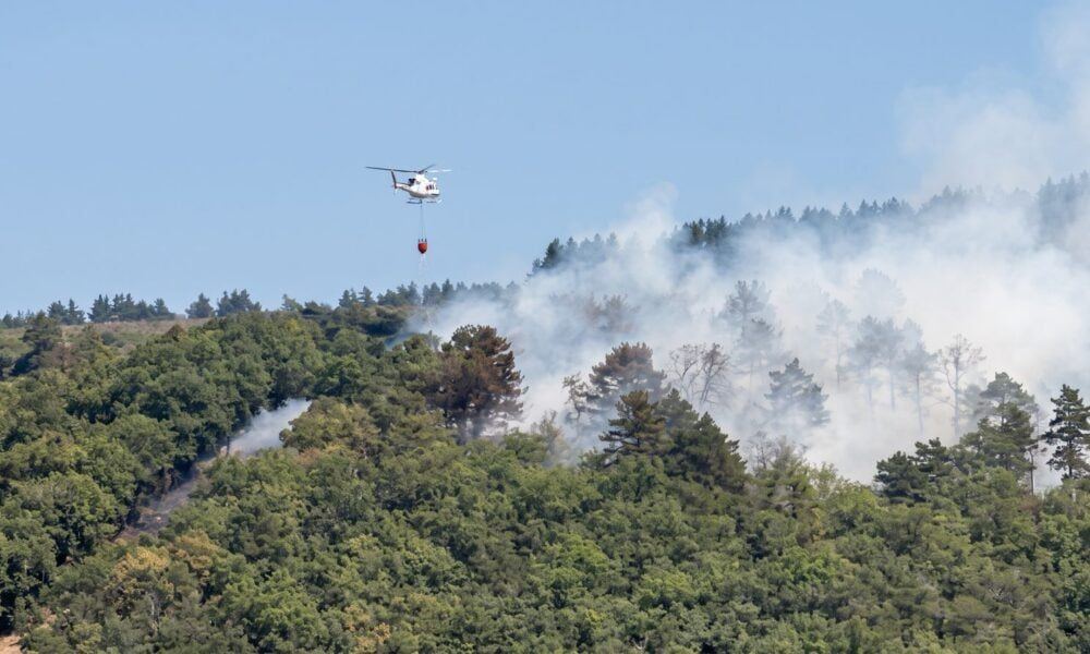 El fuego devora 11,5 hectáreas de monte en Ojacastro antes de ser dominado por tierra y aire