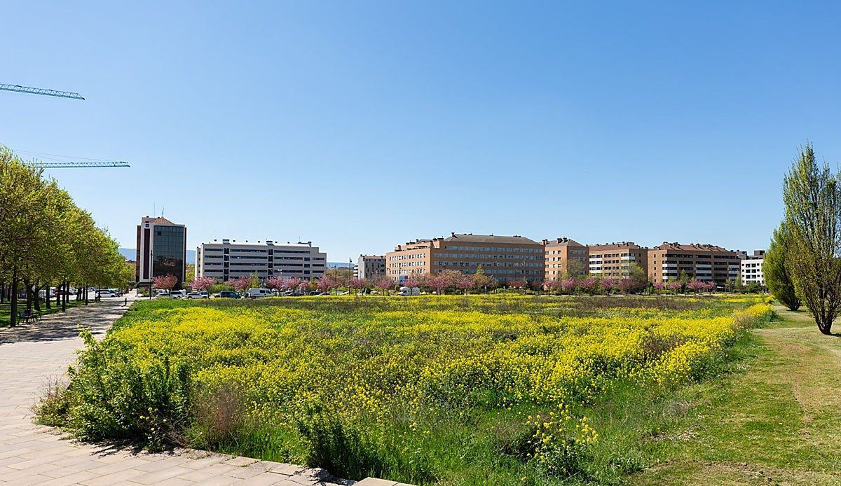 El barrio de El Campillo tendrá una residencia 'senior living' tras tres años de espera desde la adjudicación del solar